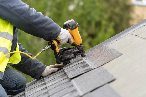 Best Roof Coating and Sealing  in Rogers, MN