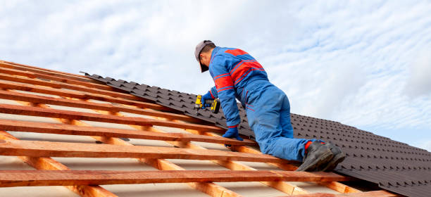 Best Rubber Roofing (EPDM, TPO)  in Rogers, MN
