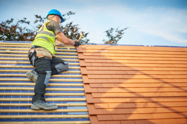 Best Skylight Installation and Repair  in Rogers, MN